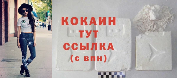 прущие грибы Магадан
