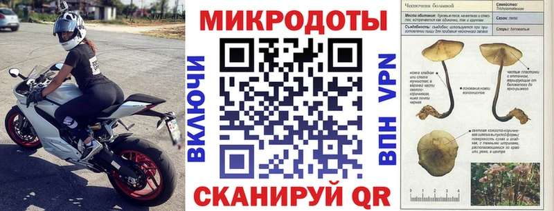 Галлюциногенные грибы прущие грибы Чехов